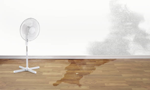 Best Fire Damage Restoration  in Nekoosa, WI