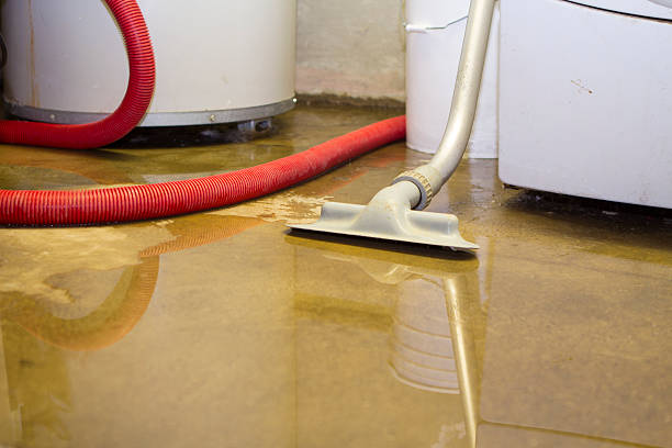  Nekoosa, WI Water damage restoration Pros