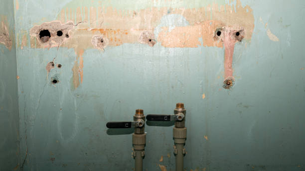 Best Water damage contractors near me  in Nekoosa, WI