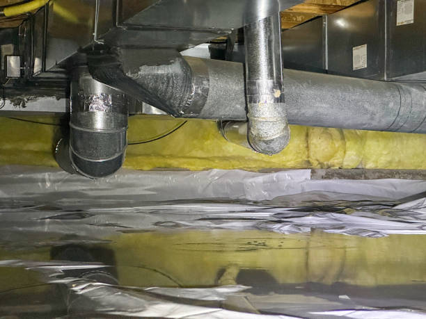 Best Basement water damage restoration  in Nekoosa, WI