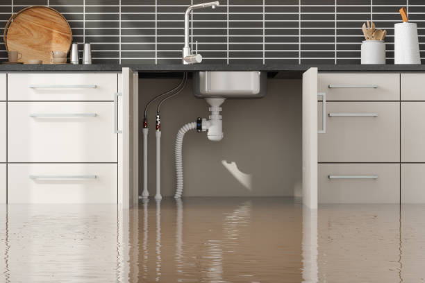 Best Water damage restoration near me  in Nekoosa, WI